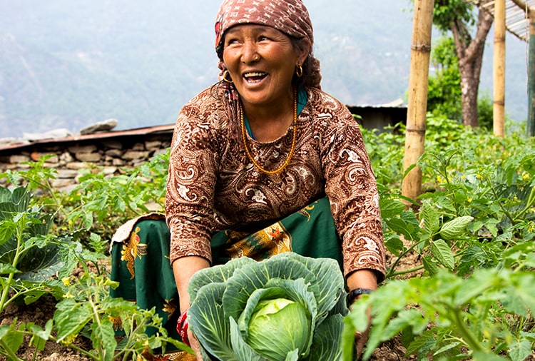 Farmer growing crops